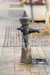 Vienna-289.jpg