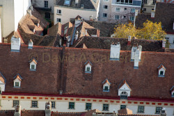 Vienna-343.jpg