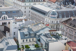 Vienna-356.jpg