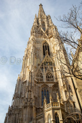 Vienna-331.jpg