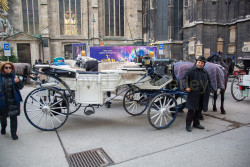 Vienna-415.jpg