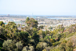 San_Diego-1000.jpg