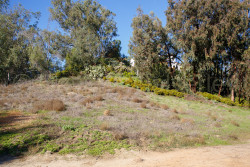 San_Diego-1258.jpg