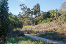 San_Diego-1259.jpg