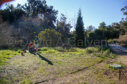 San_Diego-1260.jpg