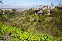 San_Diego-2096.jpg
