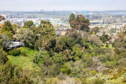 San_Diego-2097.jpg