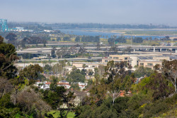 San_Diego-2098.jpg