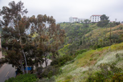 San_Diego-2140.jpg