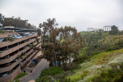 San_Diego-2141.jpg