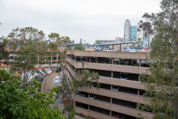San_Diego-2142.jpg