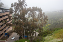 San_Diego-2143.jpg