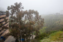 San_Diego-2144.jpg