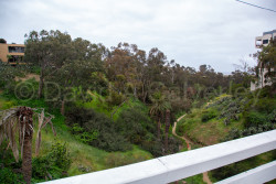 San_Diego-2496.jpg