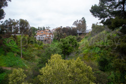 San_Diego-2497.jpg
