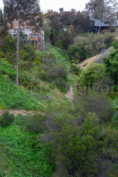 San_Diego-2499.jpg