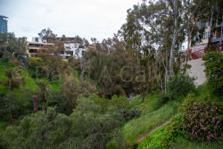 San_Diego-2500.jpg