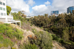 San_Diego-707.jpg