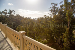 San_Diego-710.jpg