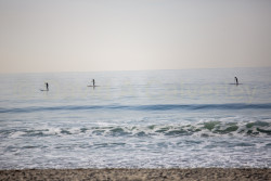 San_Diego-479.jpg