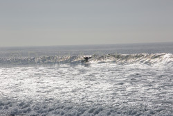 San_Diego-493.jpg