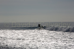San_Diego-495.jpg