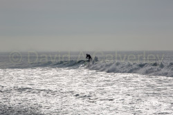 San_Diego-496_v2.jpg