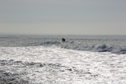 San_Diego-497.jpg