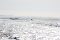 San_Diego-499.jpg