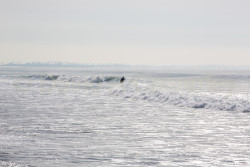 San_Diego-500.jpg