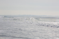 San_Diego-501.jpg