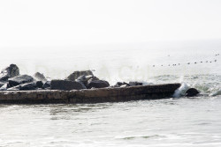 San_Diego-507.jpg