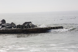 San_Diego-508.jpg
