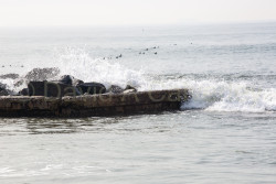 San_Diego-509.jpg