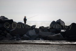 San_Diego-512.jpg