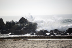 San_Diego-515.jpg