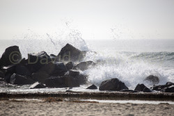 San_Diego-516.jpg