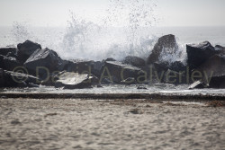 San_Diego-517.jpg