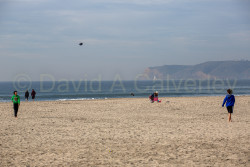 San_Diego-521.jpg