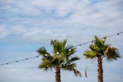San_Diego-522.jpg