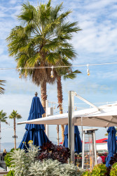 San_Diego-526.jpg