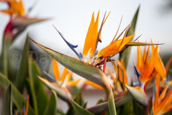 San_Diego-527.jpg