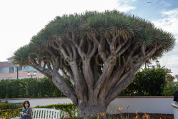 San_Diego-530.jpg
