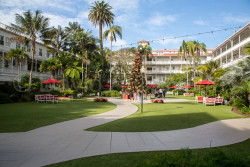 San_Diego-538.jpg