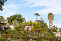 San_Diego-551.jpg