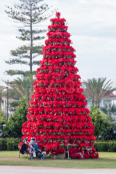 San_Diego-554.jpg