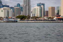 San-Diego-Bay-Cruise-1047.jpg