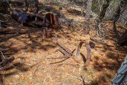 Stonewall-Mine,-Cuyamaca-State-Park-005.jpg