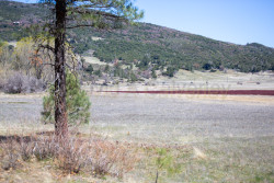 Stonewall-Mine,-Cuyamaca-State-Park-012.jpg