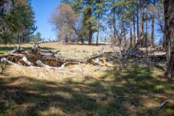 Stonewall-Mine,-Cuyamaca-State-Park-017.jpg